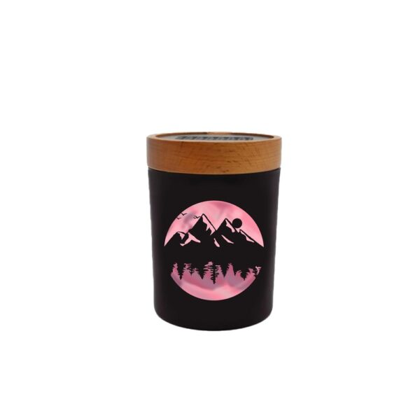 V SYNDICATE SMALL SMART STASH - HIGH ELEVATION PINK