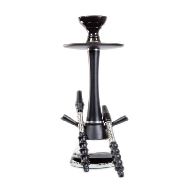 CHERRY LIZARD 1014 HOOKAH 2 HOSES - ASSORTED