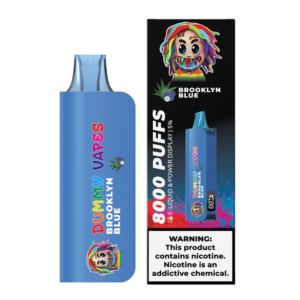 DUMMY 5% NIC 8000PUFFS DISPOSABLE – BROOKLYN BLUE