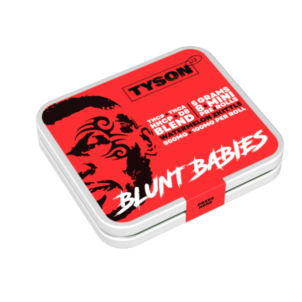 TYSON 5G 8CTS BLEND BLUNT BABIES - WATERMELON ZKITTLE