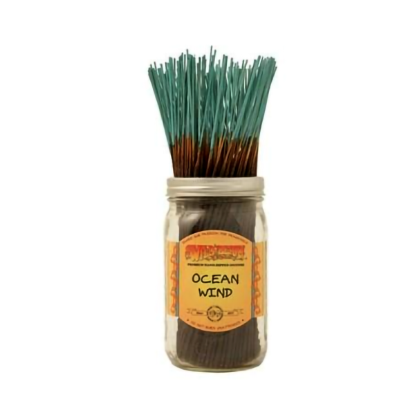WILD BERRY INCENSE 100 STICKS - OCEAN WIND