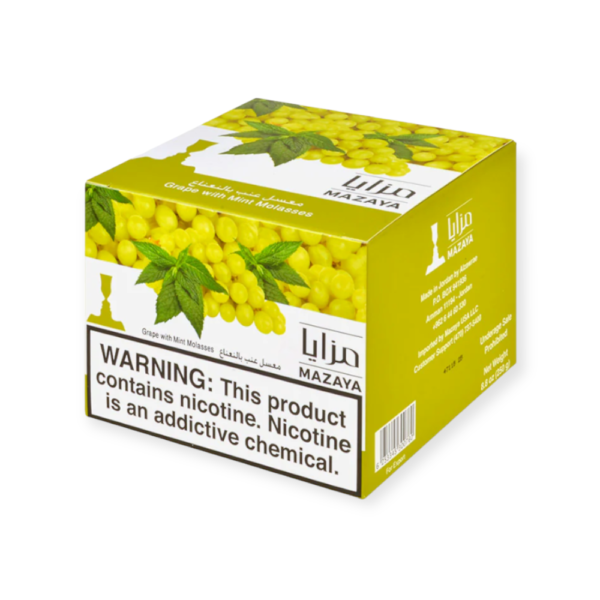 MAZAYA 250G - GRAPE MINT