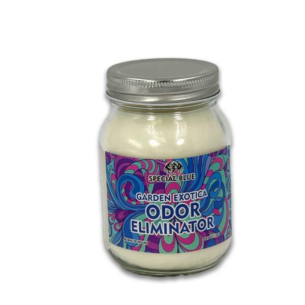 SPECIAL BLUE ODOR CANDLE - GARDEN EXOTICA