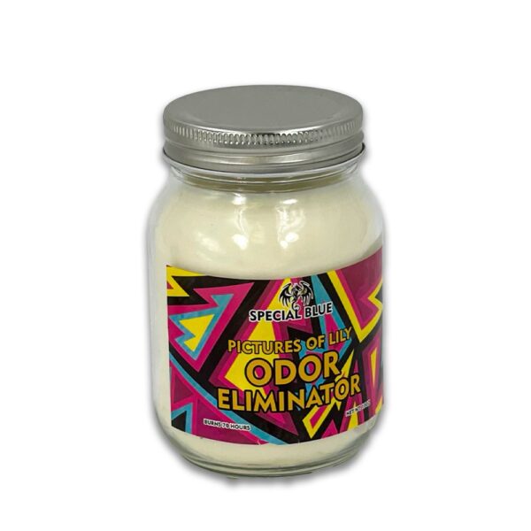 SPECIAL BLUE ODOR CANDLE - PICTURES OF LILY