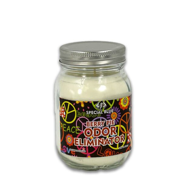 SPECIAL BLUE ODOR CANDLE - BERRY PIE