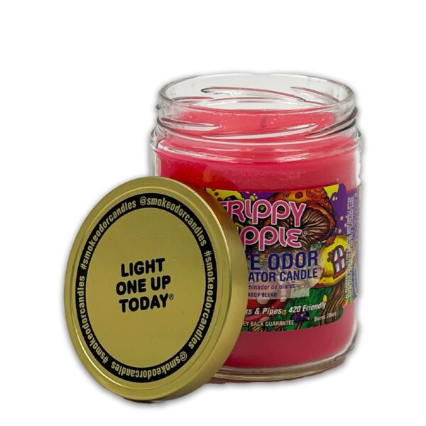 SMOKE ODOR EXTERMINATOR CANDLE TRIPPY HIPPIE - Image 2