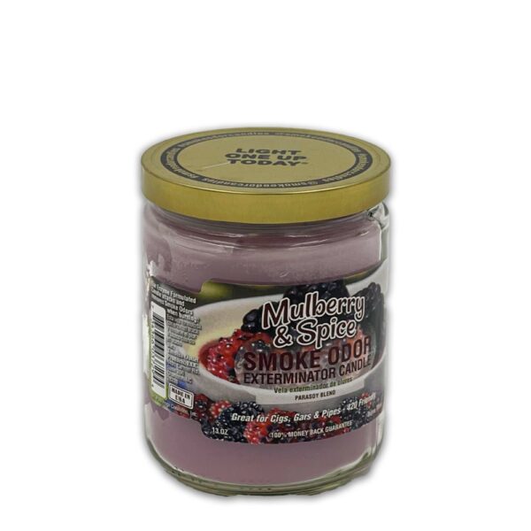 SMOKE ODOR EXTERMINATOR CANDLE MULBERRY SPICE