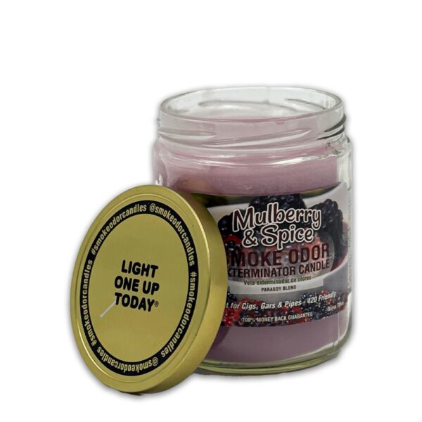 SMOKE ODOR EXTERMINATOR CANDLE MULBERRY SPICE - Image 2