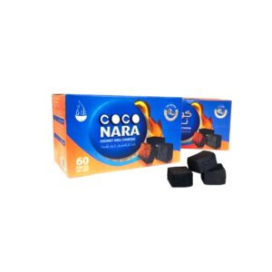 COCO NARA 20 PCS COCONUT SHELL CHARCOAL