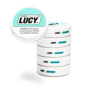 LUCY NICOTINE 8MG POUCHES – WINTERGREEN