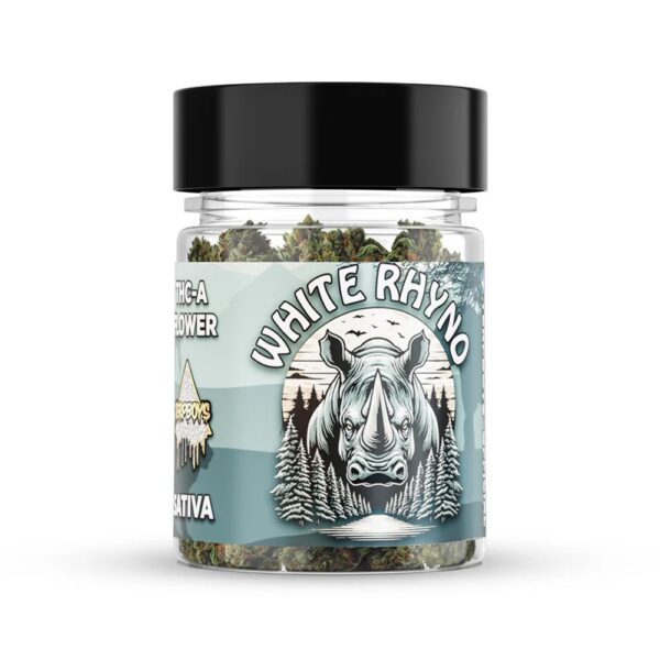TERPBOYS THCA 7G FLOWER SATIVA - WHITE RHYNO