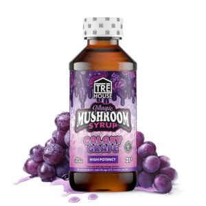 TRE HOUSE MUSHROOM SYRUP – GALAXY GRAPE