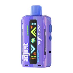 ADJUST MY FLAVOR 5%NIC 40K PUFFS DISPOSABLE – BLUE RAZZ ICE