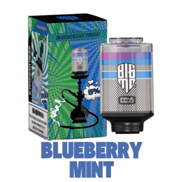 E- HOOKAH 100K PUFFS HEAD - BLUEBERRY MINT