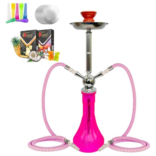 TANYA 2HOSES V#5 HOOKAH KIT - ASSORTED