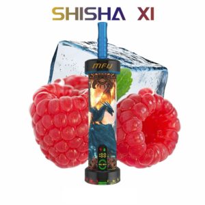 MFU SHISHA 40KPUFFS DISPOSABLE – BERRY ICE