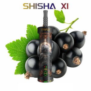 MFU SHISHA 40KPUFFS DISPOSABLE – BLACKCURRANT BOMB