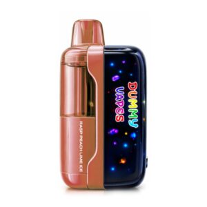 DUMMY 5%NIC 50KPUFFS DISPOSABLE – RASP PEACH LIME ICE