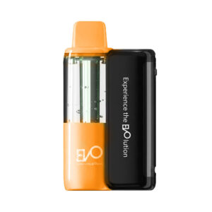 EVO SWITCH PRO 50KPUFFS KIT – MEXICO MANGO