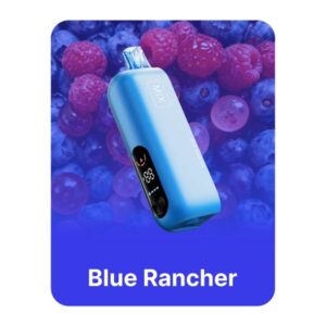 REIGN BAR 0%NIC 25KPUFFS POD – BLUE RANCHER