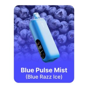 REIGN BAR 0%NIC 25KPUFFS POD- BLUE PULSE MIST
