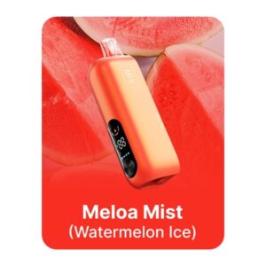 REIGN BAR 0%NIC 25KPUFFS POD- MELOA MIST