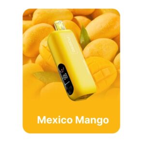 REIGN BAR 5%NIC 25KPUFFS POD- MEXICO MANGO