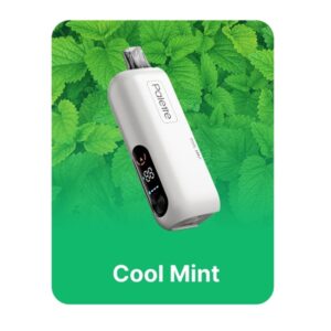 REIGN BAR 5%NIC 25KPUFFS POD- COOL MINT