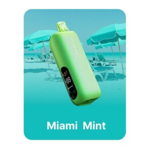 REIGN BAR 5%NIC 25KPUFFS POD- MIAMI MINT