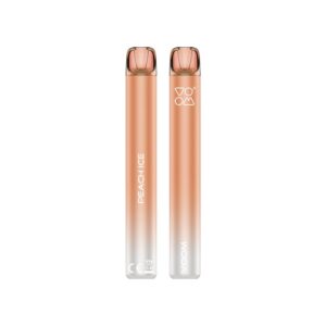 VOOM 5%NIC MESH MINI 3KPUFFS DISPOSABLE – PEACH ICE
